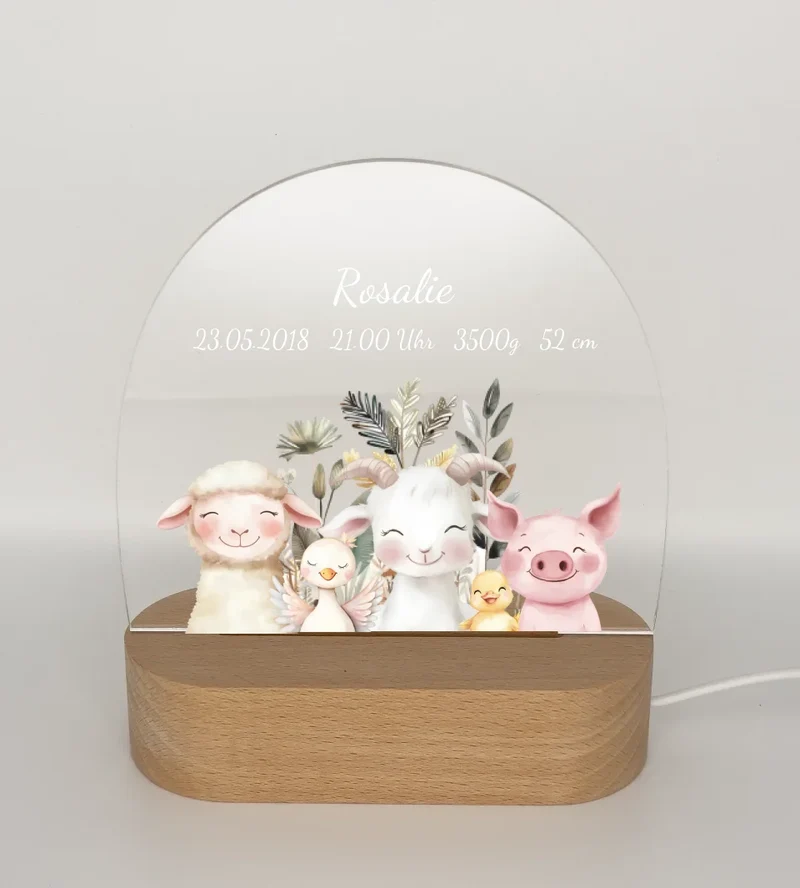 Personalisiertes Baby & Kinder LED Nachtlicht Bauernhof Tiere Geburtsdaten Geburtsgeschenk & Taufgeschenk