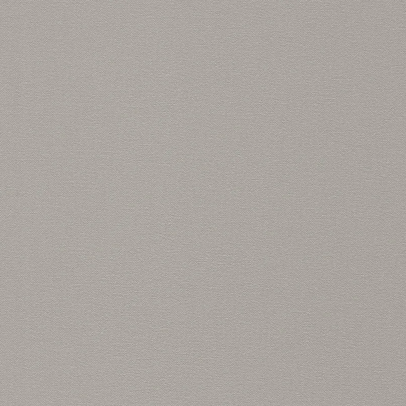 Cotton Plain - dove