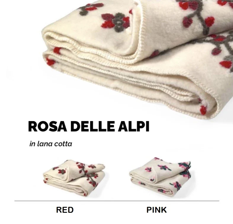 Rosa delle Alpi