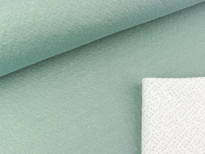 Doubleface Jersey Minipünktchen dusty mint-ecru