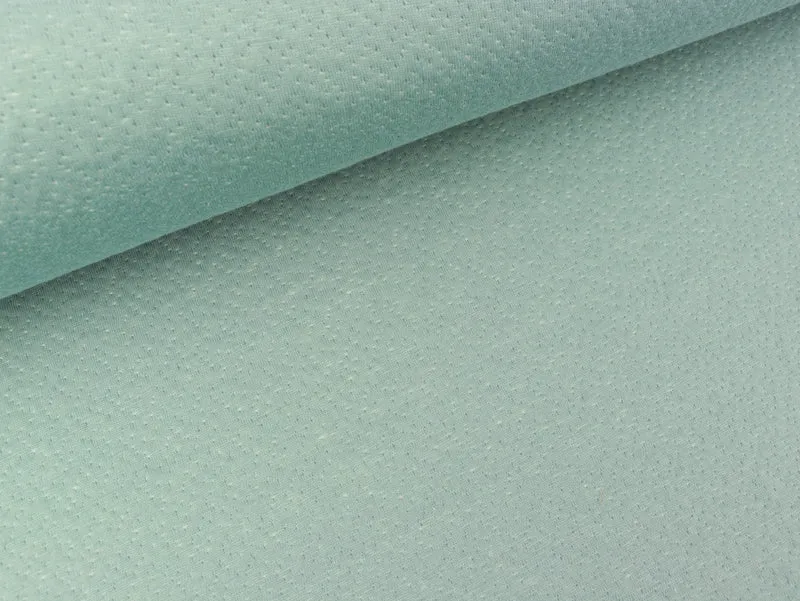 Doubleface Jersey Minipünktchen dusty mint-ecru