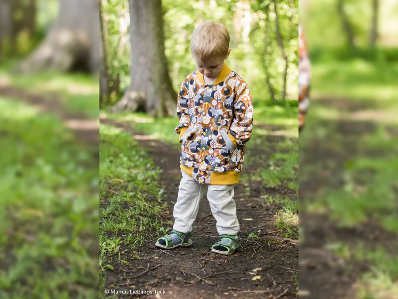 Steinbeck Baumwollsweat Woody das Wildschwein ocker-anthrazit-creme-bunt