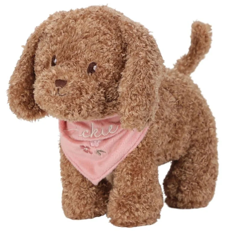 Der Hund Jackie in der Tasche
