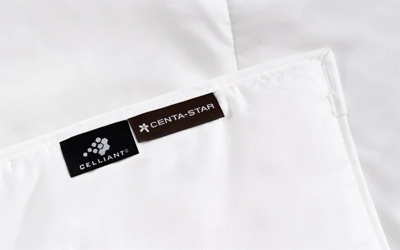 Ganzjahresbett Regeneration