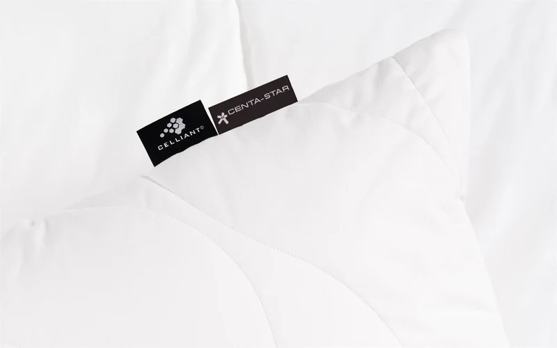 Ganzjahresbett Regeneration