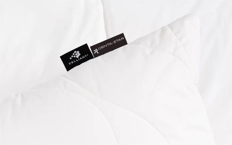 Ganzjahresbett Regeneration