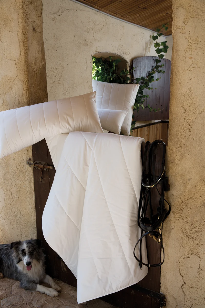Sommerbett Summer Organic Cotton