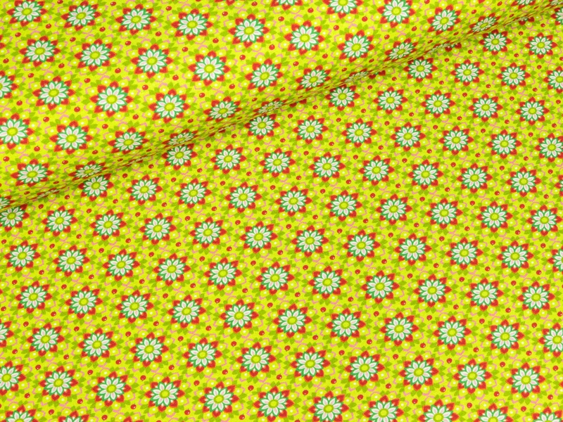 Baumwolljersey Miss Strawberry Blumen hellgrün-bunt