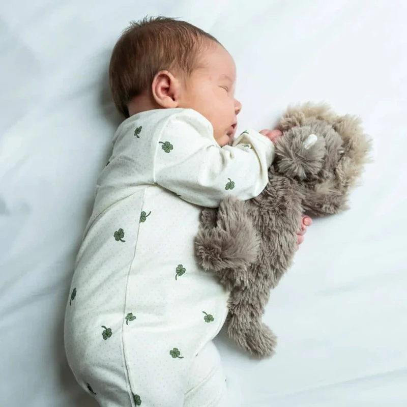 Gewichtetes Kuscheltier – Mini Dino 130 g