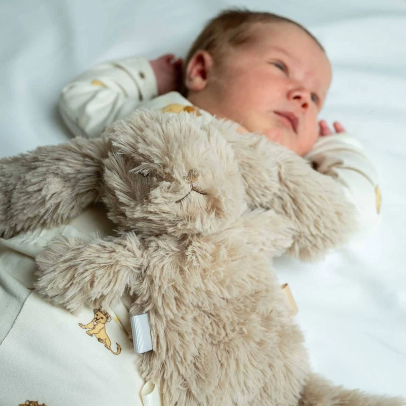 Gewichtetes Kuscheltier – Mini Teddy Hase 130 g