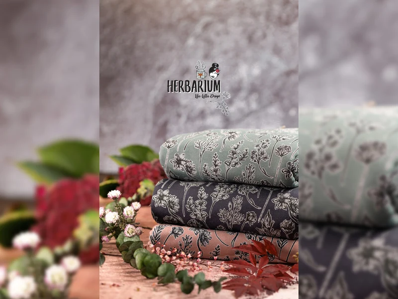Modalsweat Herbarium Altrosa by Lila-Lotta