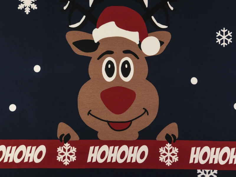 French Terry HOHOHO Moose dunkelblau-bunt Panel 118cm