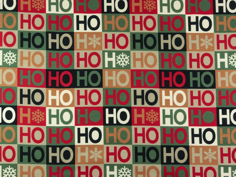 French Terry HOHOHO Ski Moose grün-bunt Panel 98cm