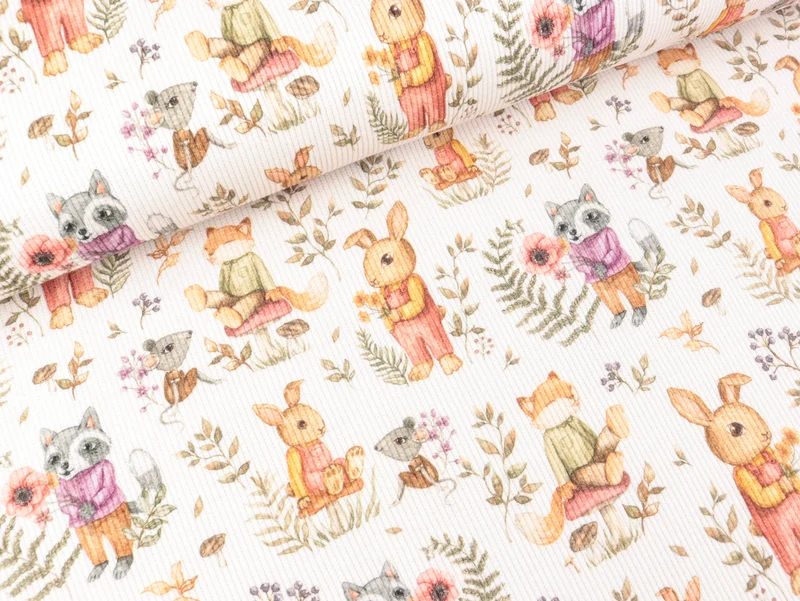 Baumwolljersey Fein Rib Florida Forrest Friends bunt auf Off white